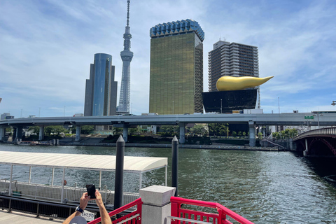 Tokyo: Private Guided Tour with Optional Night/Bar Hop Tour