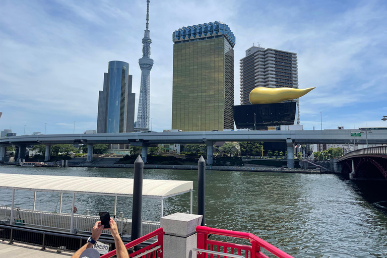 Tokyo: Private Guided Tour with Optional Night/Bar Hop Tour