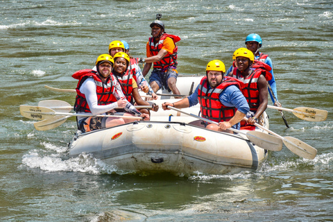 Livingstone: Zambezi Drift + Lunch + Baobab + Croc Farm