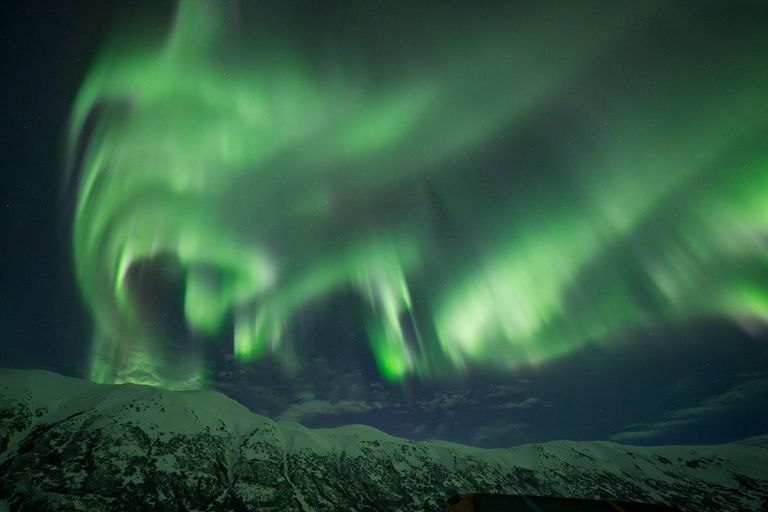 Anchorage: Aurora Borealis Northern Lights Photography Tour
