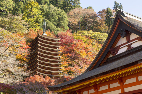 Osaka: Nara, Akame 48 Waterfalls & Tanzan Shrine Tour Shared Tour, Meet at Tsurutontan Soemoncho