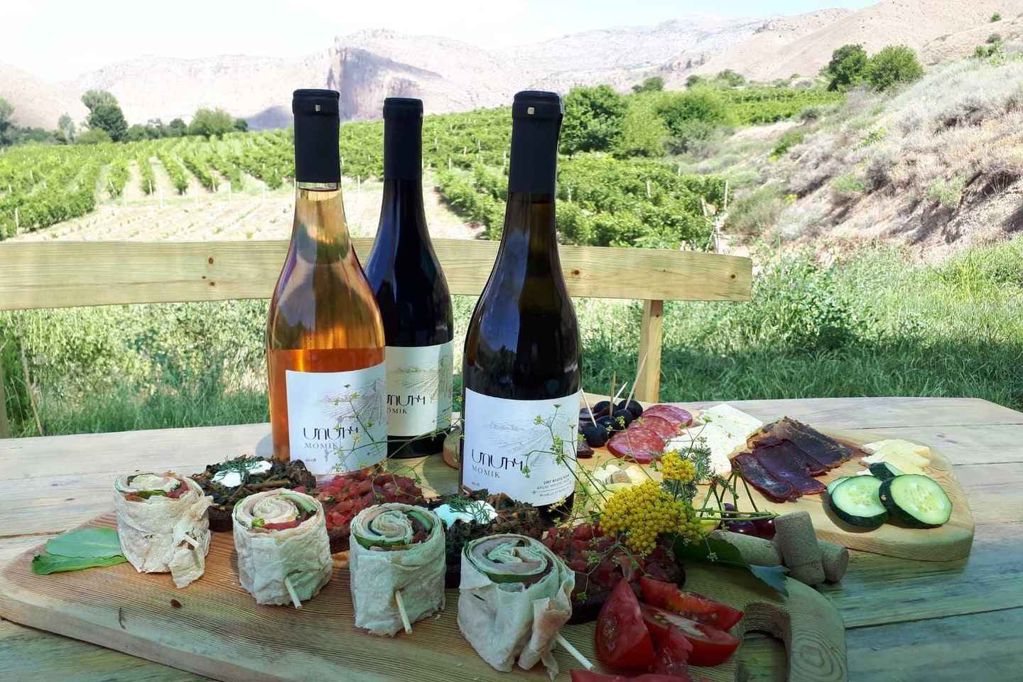 Vayots Dzor Wine Route Day Tour, discover Areni's Wineries