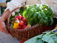 Ulm, Guided tour through the weekly market with tasters - Housity