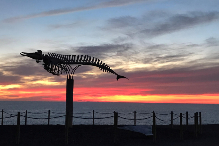 Fuerteventura: Wine Tasting and El Cotillo Afternoon Escape