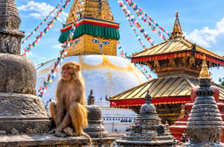 Nepal: 5-tägige spirituelle Reise in Kathmandu mit Erbe und Wildtieren