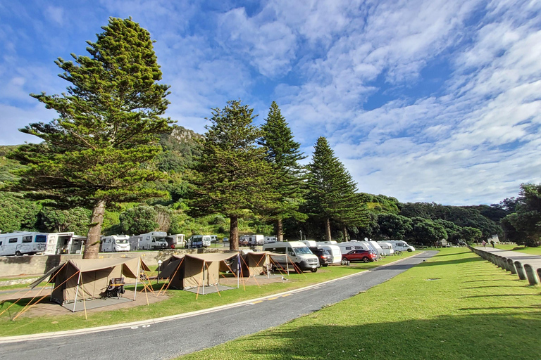 Neuseeland: Geführte 17-tägige Nordinsel Tour mit Camping