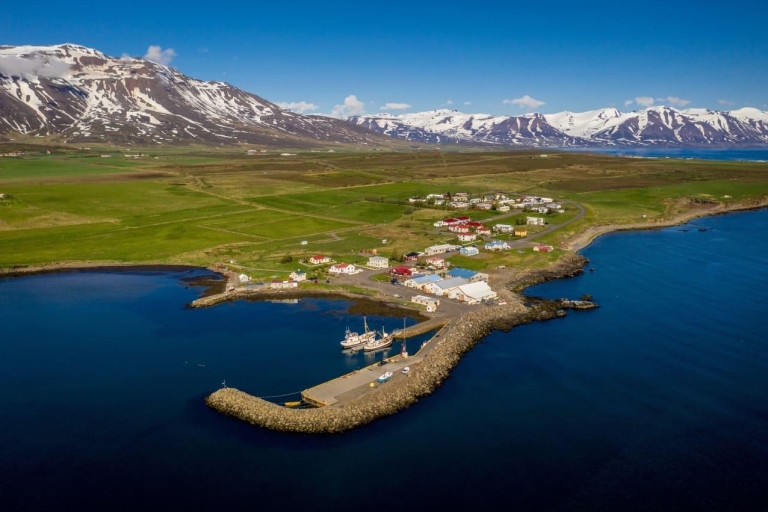 Akureyri : Côte arctique et observation des baleinesCôte arctique et observation des baleines