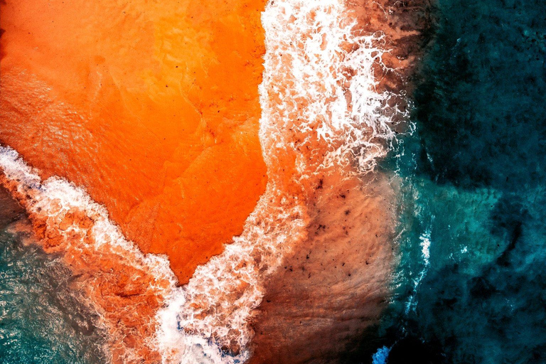 Wasini Island: Daytrip