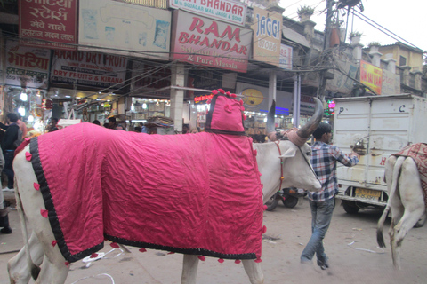 Old Delhi Tour on Luxurious Rickshaw with Wireless Headset