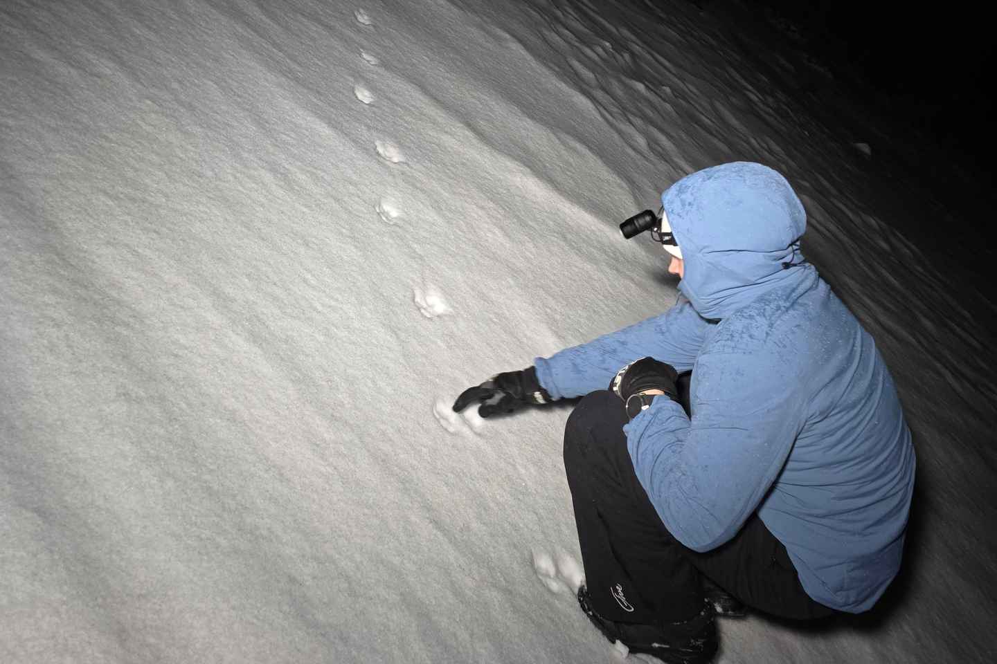 Tromsø: Northern Lights and a Starlit Adventure Tour