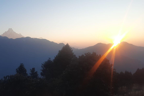 Vanuit Pokhara: 5 Daagse Poon Hill met Natuurlijke Warmwaterbron Trek