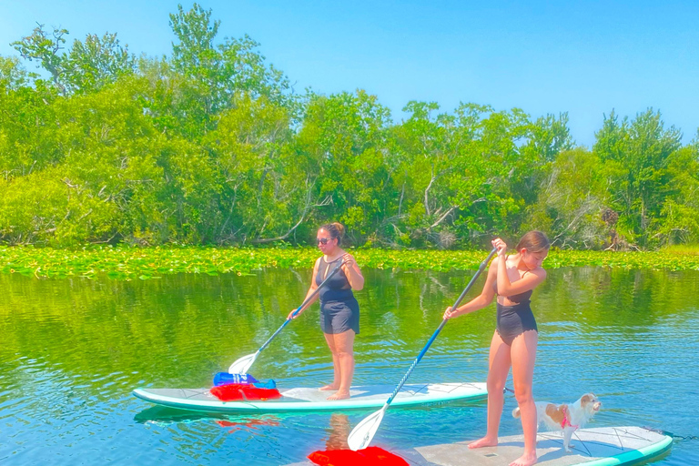 Orlando: Aluguel de 2 horas de caiaque e paddleboard Clear