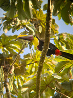 Mega aventuras particulares - Housity