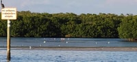 Location de bateaux à St Pete Beach / Treasure Island et au centre-ville - Housity