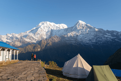 Short Mardi Himal Trek: A Perfect 5-Day Escape from Pokhara