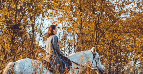 Ibiza: Horseback Ride, Country Brunch & Hotel Pickup
