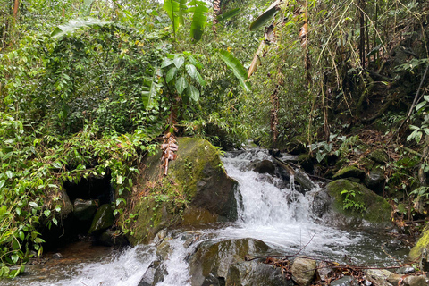 Farallones de Cali: Halve dag Pance wandeling en rivier