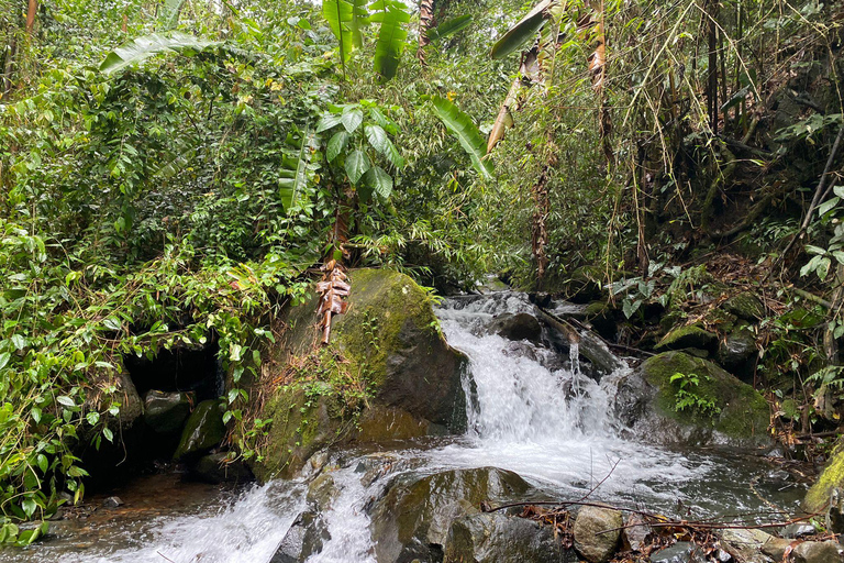 Farallones de Cali: Halbtägige Pance-Wanderung und Fluss