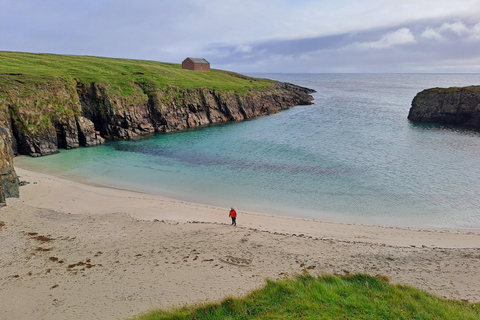 Tagestour durch Schottland HighlightsTagestour durch Glencoe