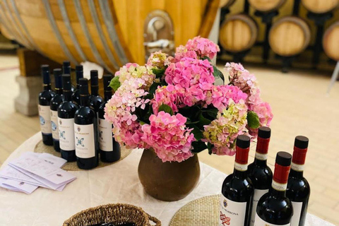 Abbey Tour, Wine Tasting and Light Lunch near Pisa English