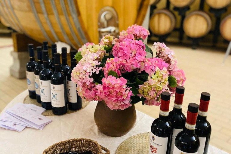 Abbey Tour, Wine Tasting and Light Lunch near Pisa English