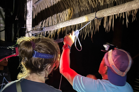 Presidente Figueiredo: Jungle Lodge Immersion in the Amazon (2–4 days) Full Jungle Lodge Experience in the Amazon (2 days and 1 night)