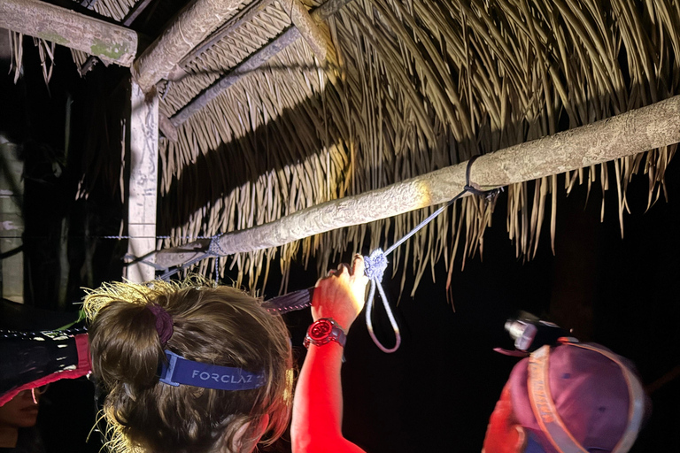 Presidente Figueiredo: Jungle Lodge Immersion in the Amazon (2–4 days) Full Jungle Lodge Experience in the Amazon (2 days and 1 night)