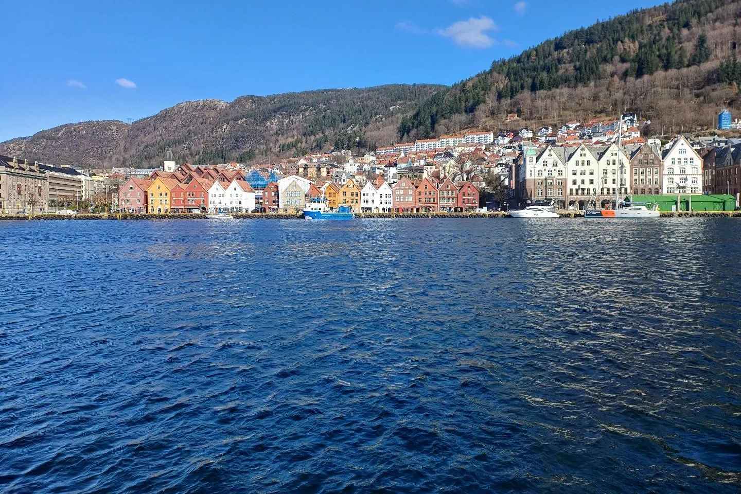 Bergen: Walking Tour with Local Guide - Bergen: Guided Walking Tour with Local Guide