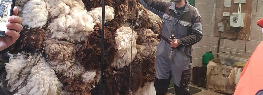 Découvrez la Vie Insulaire et le Crofting à Bressay