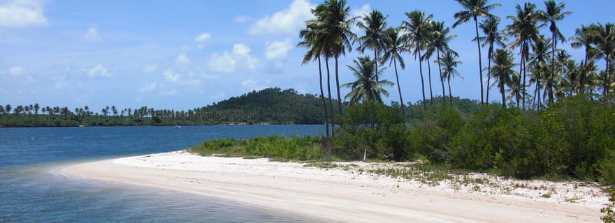 Recife : Visite de Carneiros avec promenade en catamaran