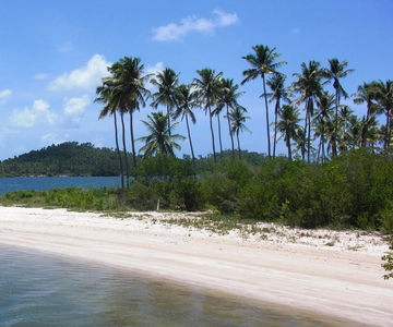 Recife: Excursão a Carneiros com passeio de catamarã
