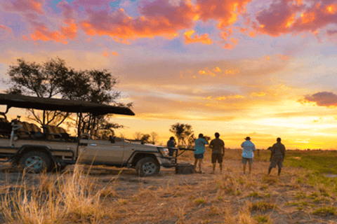 Sunrise Game Drive in Zambezi NP: Big Five Tracking