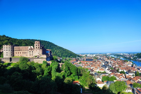 High Lights of Heidelberg - Private Tour of Castle and Town Heidelberg: All Inclusive Private Tour - Castle and Old Town