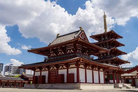 Osaka Half-Day Tour with Entrance Fees Osaka Half-Day Tour with Tickets