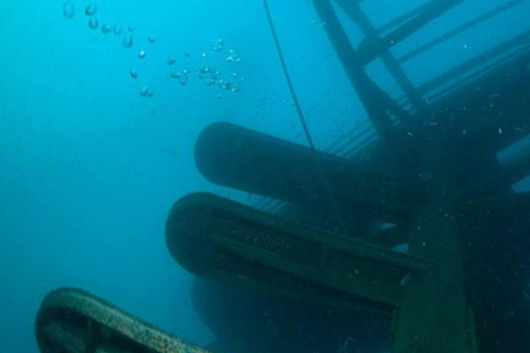 Doble zambullida en el Parque del Renacimiento Oceánico