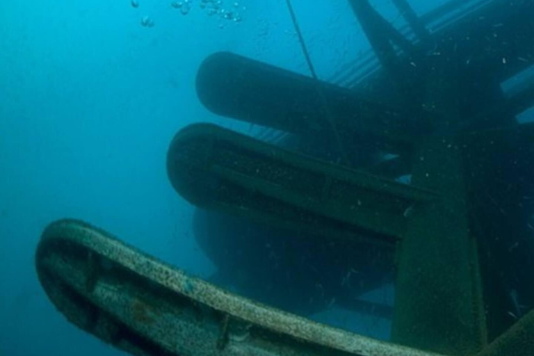 Doble zambullida en el Parque del Renacimiento Oceánico