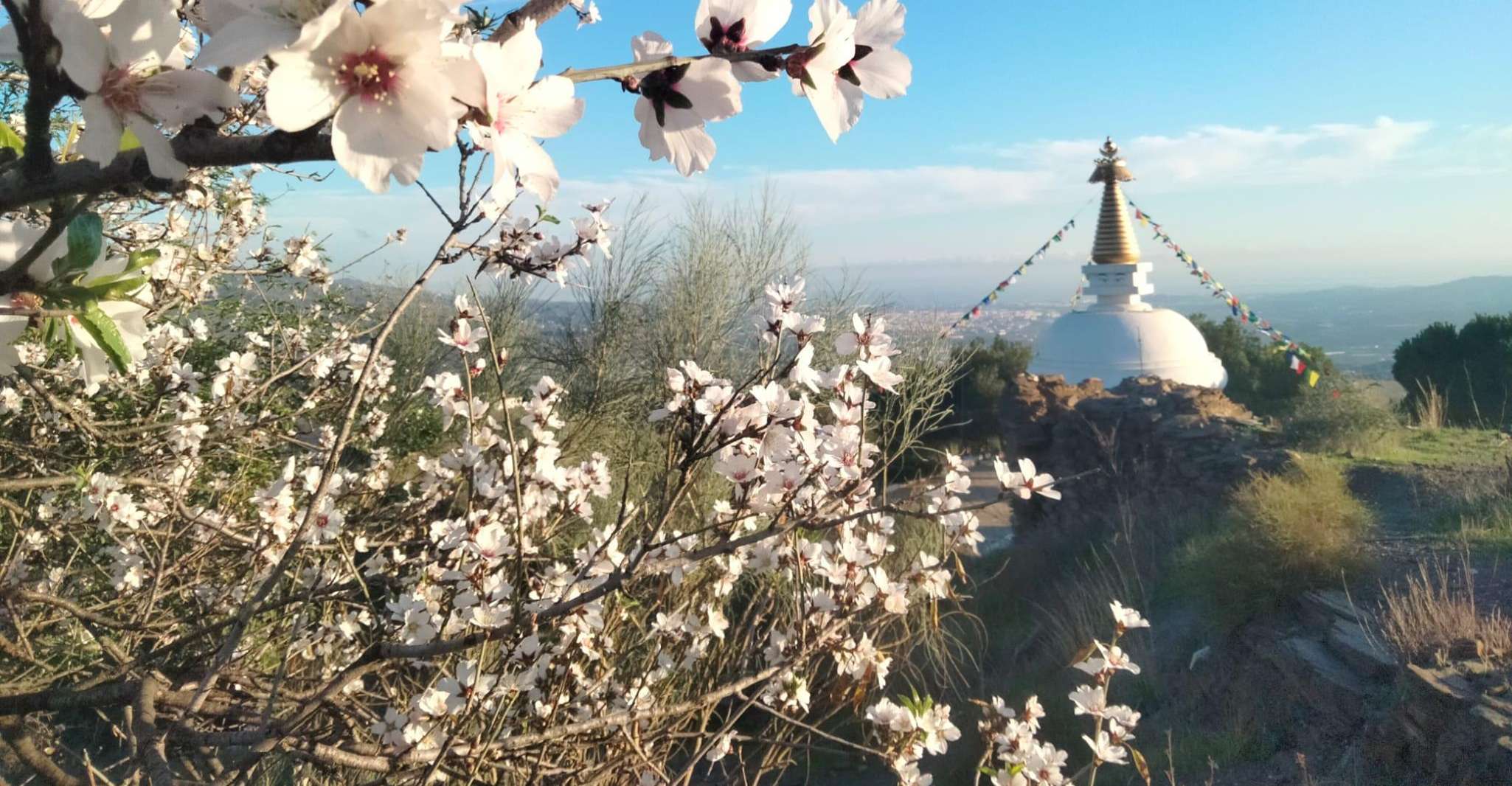 La Axarquia White Villages & Bouddhisme Stupa - semi-privé - Hizvo