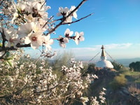 La Axarquia Weiße Dörfer & Buddhistische Stupa - SemiPrivate - Hizvo