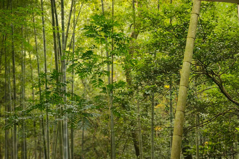 Hangzhou Jiuxi, Shililangdang & Yunqi Day Hiking Tour