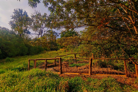 Monteverde: Day Entrance at Oktari Walking Trails Forest