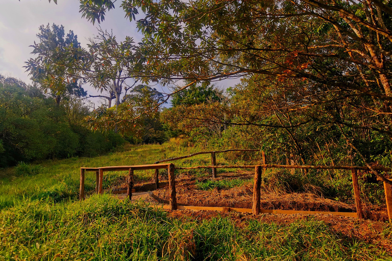 Monteverde: Day Entrance at Oktari Walking Trails Forest