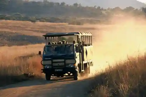 Sun City: 6H Game Drive med lunch