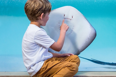 Mallorca: Palma Aquarium Eintrittskarte mit 3D Kino