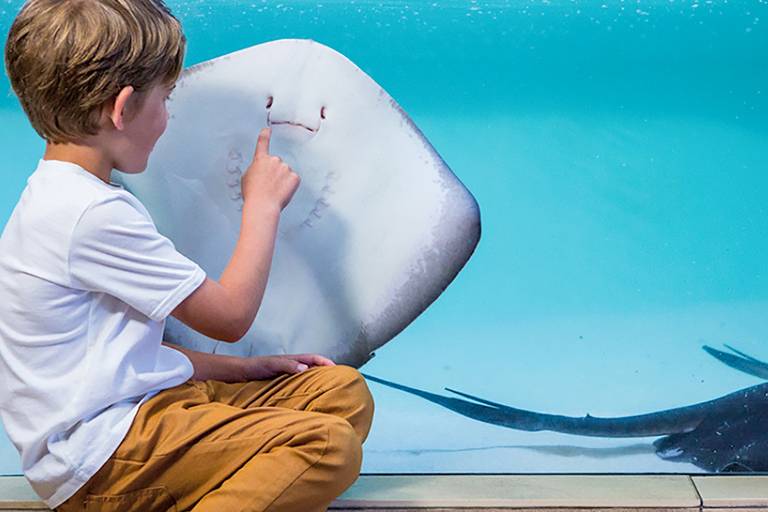 Mallorca: Palma Aquarium Eintrittskarte mit 3D Kino