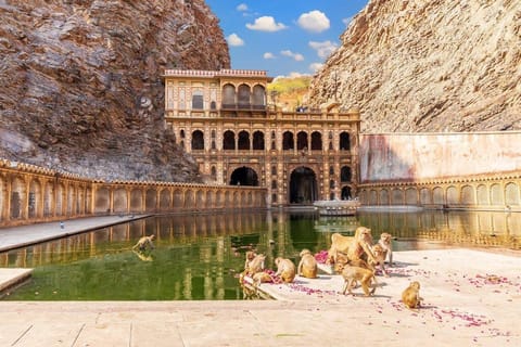 9-Day Rajasthan Tour: 4 Cities with Hotels & Private Car