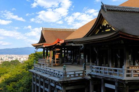 From Osaka/Kyoto: Kyoto Private Tour with Driver & Guide Kyoto/Osaka Pickup & Drop-off – ES/IT/DE/PT Guide