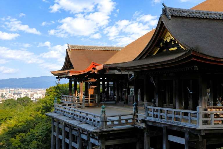 From Osaka/Kyoto: Kyoto Private Tour with Driver & Guide Kyoto/Osaka Pickup & Drop-off – ES/IT/DE/PT Guide