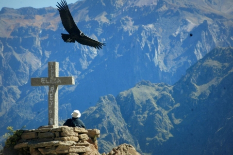 Chivay + het uitkijkpunt van de Colca Canyon |Condors|