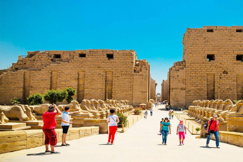 Depuis le Caire : Voyage privé à Louxor depuis Le Caire en avion