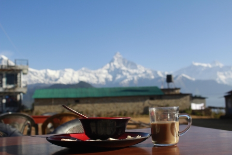 From Pokhara: Day Hiking Australian Camp & Dhampus
